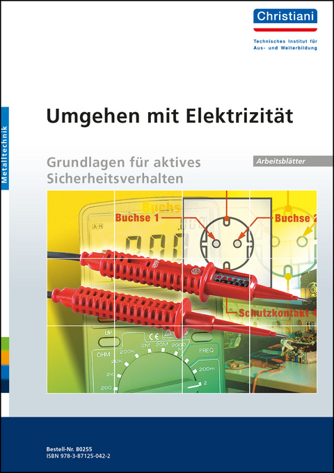 Umgehen mit Elektrizit&auml;t - Grundlagen f&uuml;r aktives Sicherheitsverhalten - Manfred Hartmann