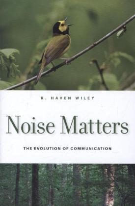 Noise Matters
