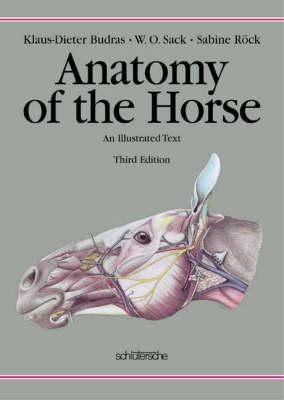 Anatomy of the Horse