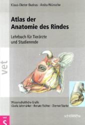 Atlas der Anatomie des Rindes - Klaus D Budras, Anita Wünsche