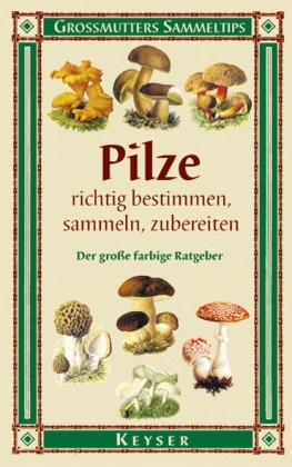 Pilze richtig bestimmen, sammeln, zubereiten