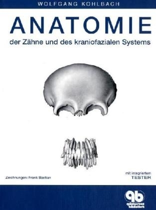 Anatomie der Zähne und des kraniofazialen Systems