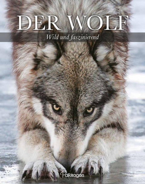 Der Wolf - Shaun Ellis