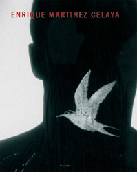 Enrique Mart&iacute;nez Celaya