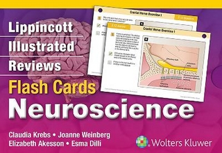 Lippincott Illustrated Reviews Flash Cards: Neuroscience