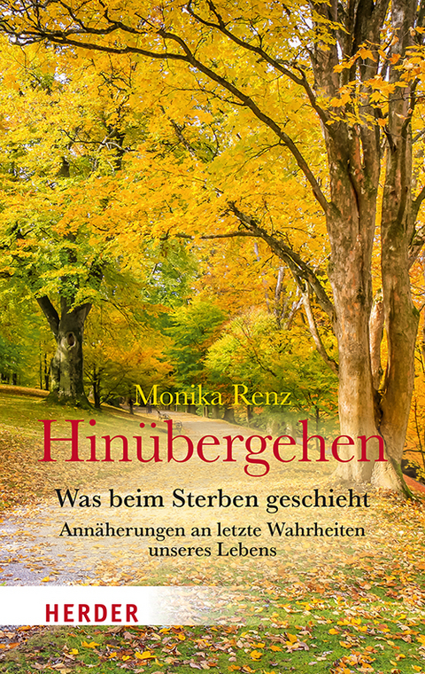 Hin&uuml;bergehen - Monika Renz