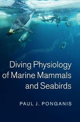Diving Physiology of Marine Mammals and Seabirds