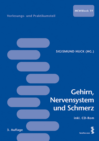 Gehirn, Nervensystem und Schmerz