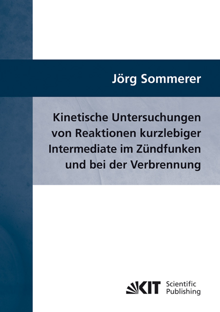 Kinetische Untersuchungen von Reaktionen kurzlebiger Intermediate im Z&uuml;ndfunken und bei der Verbrennung - J&ouml;rg Sommerer