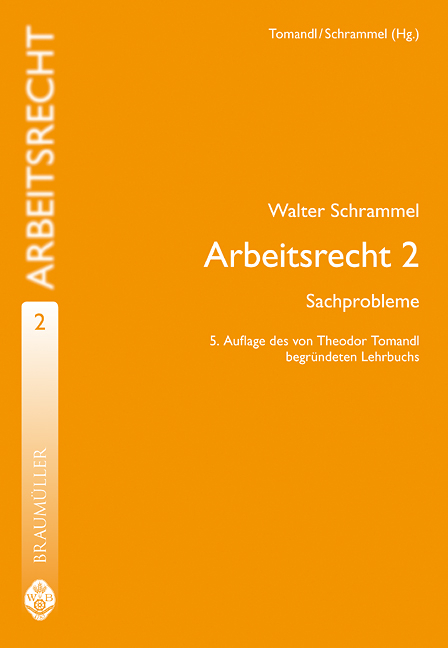 Arbeitsrecht - Theodor Tomandl, Walter Schrammel