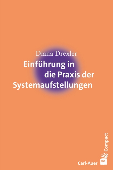 Einf&uuml;hrung in die Praxis der Systemaufstellungen - Diana Drexler