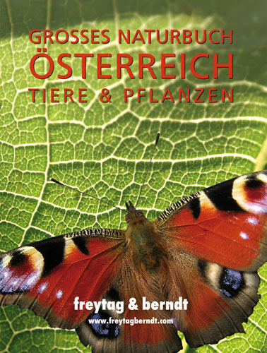 Gro&szlig;es Naturbuch &Ouml;sterreich Tiere & Pflanzen - 