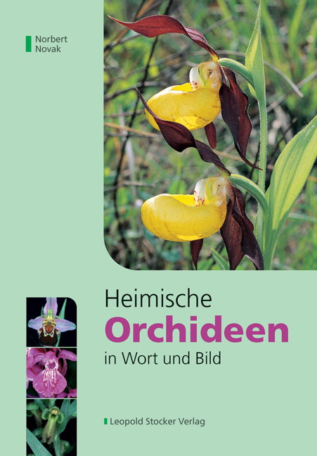 Heimische Orchideen in Wort und Bild - Norbert Novak