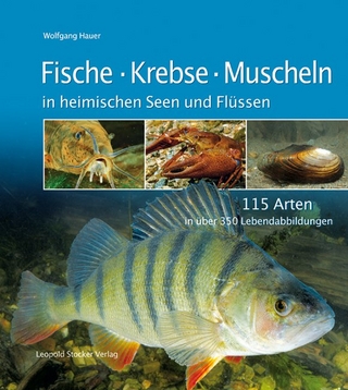 Fische Krebse Muscheln in heimischen Seen und Flüssen