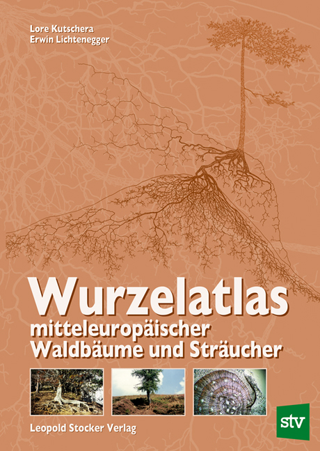 Wurzelatlas mitteleurop&auml;ischer Waldb&auml;ume und Str&auml;ucher - Lore Kutschera, Erwin Lichtenegger