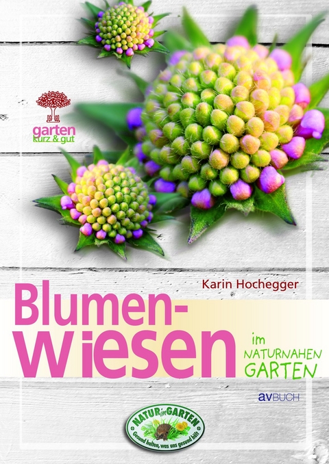 Blumenwiesen - Karin Hochegger