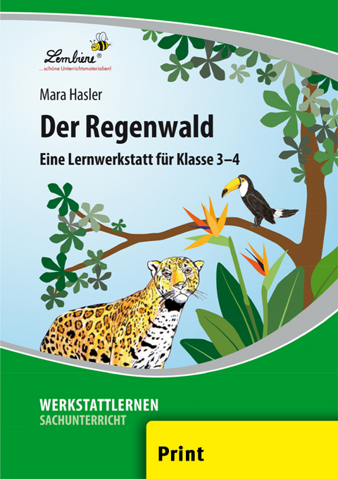 Der Regenwald - Mara Hasler
