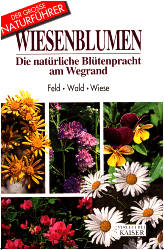 Blumen am Wegrand - Maria T Beffa