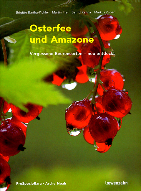 Osterfee und Amazone