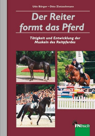 Der Reiter formt das Pferd