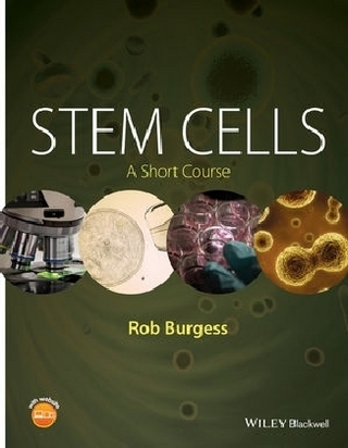 Stem Cells