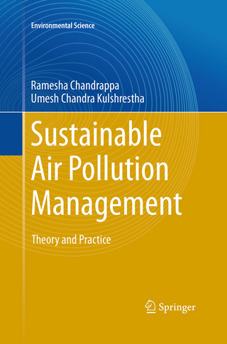 Sustainable Air Pollution Management