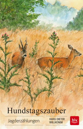 Hundstagszauber
