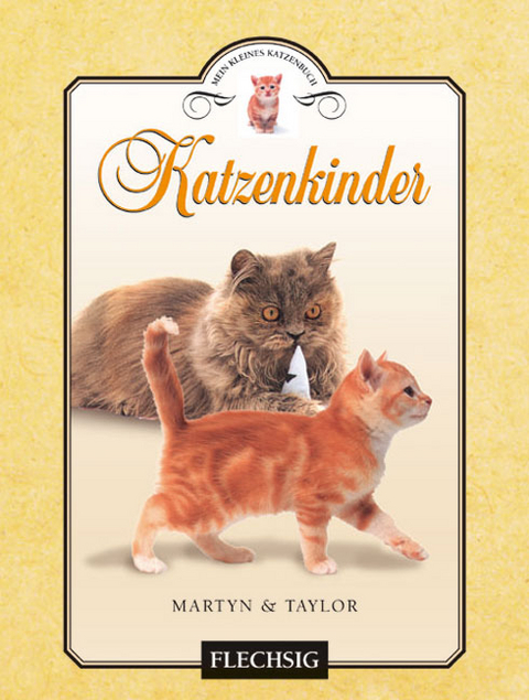 Katzenkinder