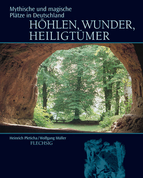 H&ouml;hlen, Wunder, Heiligt&uuml;mer - Heinrich Pleticha