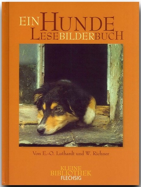 Hunde LeseBilderBuch - Ernst-Otto Luthardt, Werner Richner