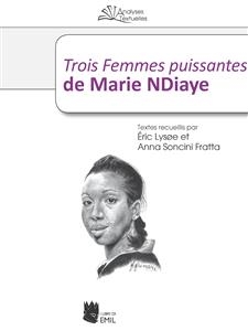 Trois Femmes puissantes de Marie NDiaye