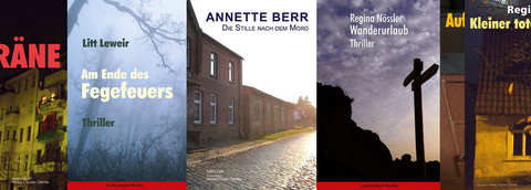 Thriller-Paket - Gro&szlig;es Thrillerreihen Paket - Litt Leweir, Annette Berr, Regina N&ouml;ssler