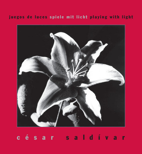 Juegos de luces - Spiele mit Licht - C&eacute;sar Sald&iacute;var