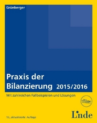 Praxis der Bilanzierung 2015/2016