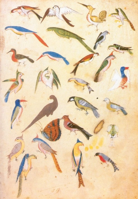 Das sp&auml;tgotische Musterbuch des Stephan Schriber - Marie Roosen-Runge, Heinz Roosen-Runge