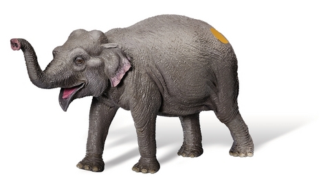 tiptoi&reg; Asiatischer Elefant