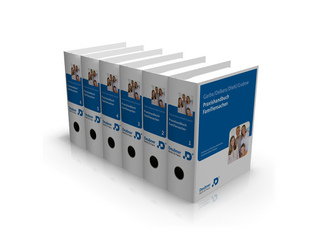 Praxishandbuch Familiensachen