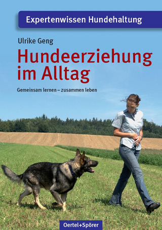 Hundeerziehung im Alltag