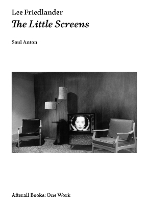 Lee Friedlander - Saul Anton