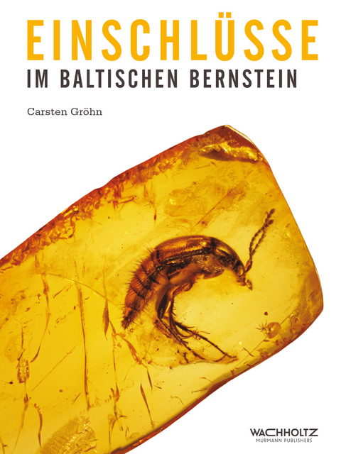 Einschl&uuml;sse im baltischen Bernstein - Carsten Gr&ouml;hn