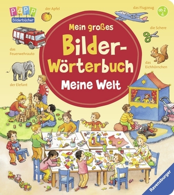 Mein gro&szlig;es Bilder-W&ouml;rterbuch: Meine Welt - Daniela Prusse