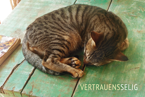 Leinwand Wortspielkarten "Vertrauensselig"