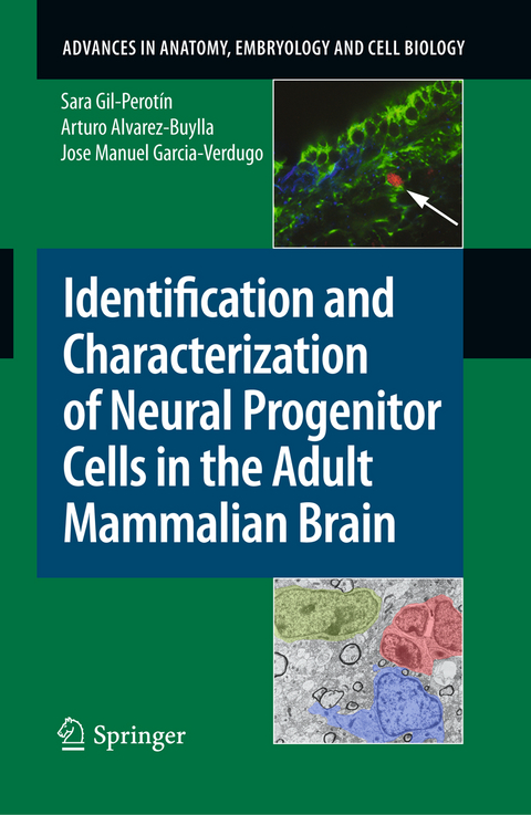 Identification and Characterization of Neural Progenitor Cells in the Adult Mammalian Brain - Sara Gil-Perot&iacute;n, Arturo Alvarez-Buylla, Jose Manuel Garcia-Verdugo