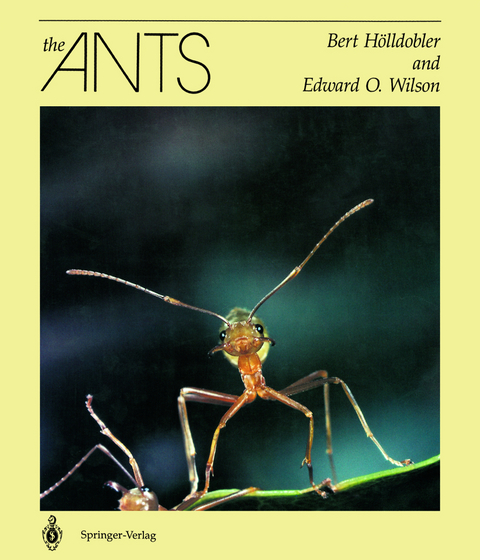 The Ants - Bert H&ouml;lldobler, Edward O. Wilson