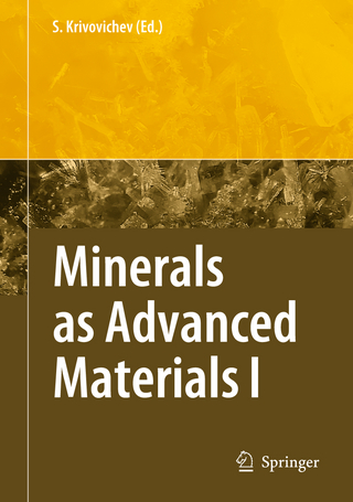 Minerals as Advanced Materials I