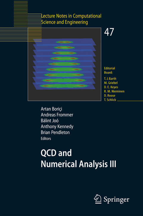 QCD and Numerical Analysis III - 