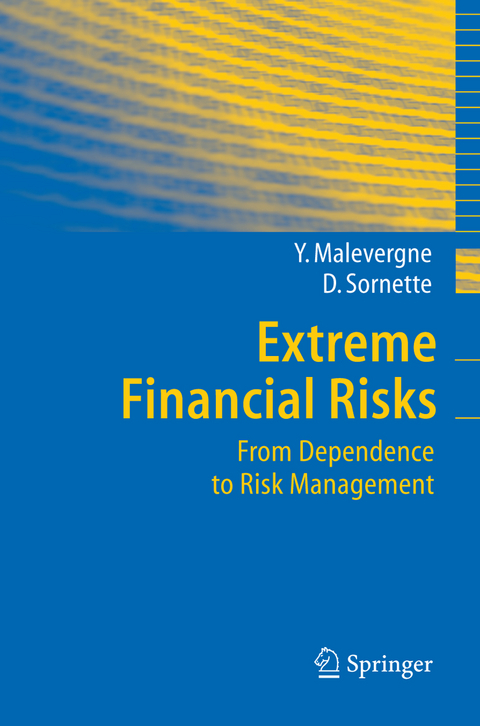 Extreme Financial Risks - Yannick Malevergne, Didier Sornette