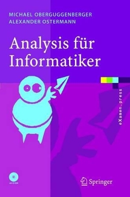 Analysis f&uuml;r Informatiker - Michael Oberguggenberger, Alexander Ostermann