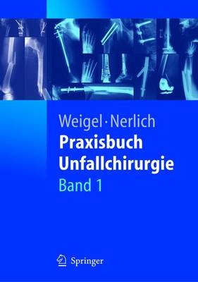 Praxisbuch Unfallchirurgie - 