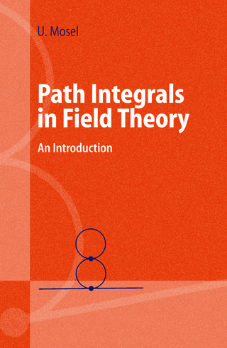 Path Integrals in Field Theory